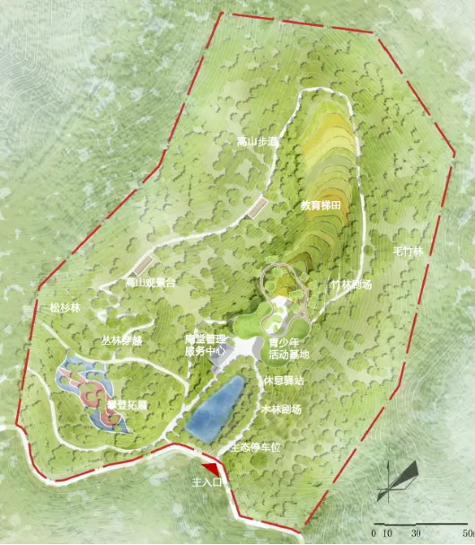 19.jpg